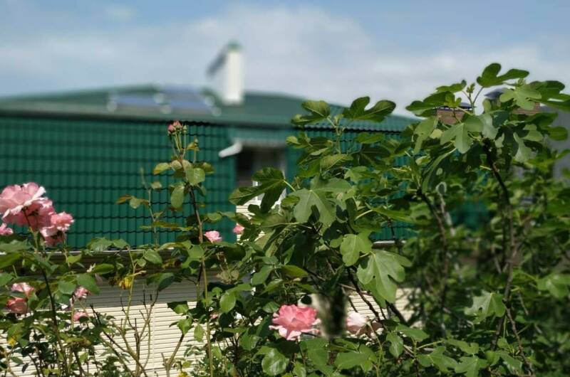 Изображение Изображение гостиницы &quot;Гостевой дом «Яблоневый сад»&quot; #6 #4