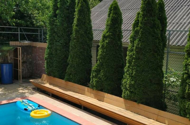 Изображение Изображение гостиницы &quot;Гостевой дом «Яблоневый сад»&quot; #7 #5