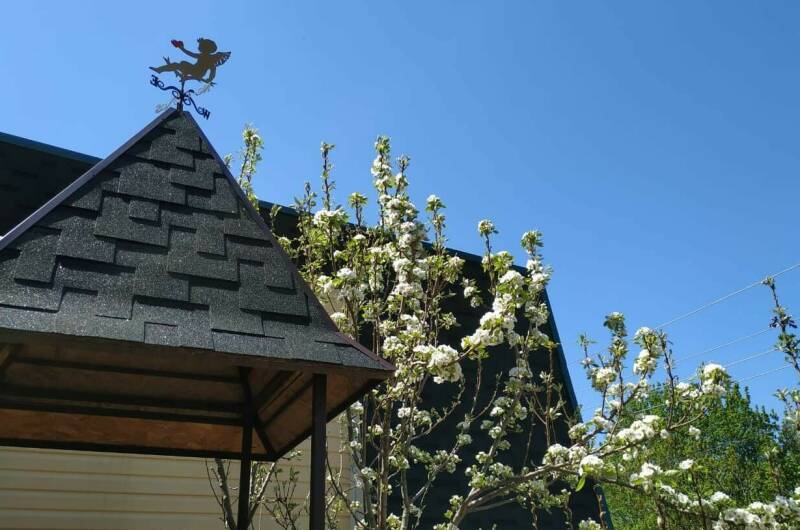 Изображение Изображение гостиницы &quot;Гостевой дом «Яблоневый сад»&quot; #9 #7