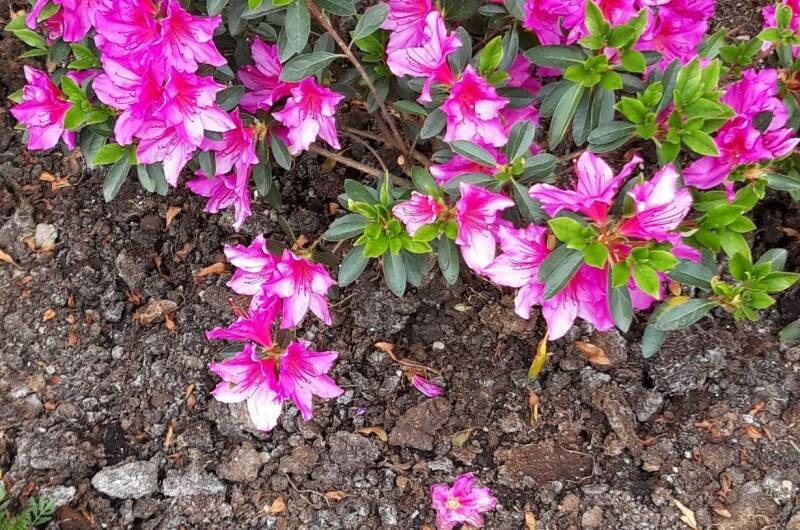 Изображение Изображение гостиницы &quot;Гостевой дом «Лыхны»&quot; #3 #1