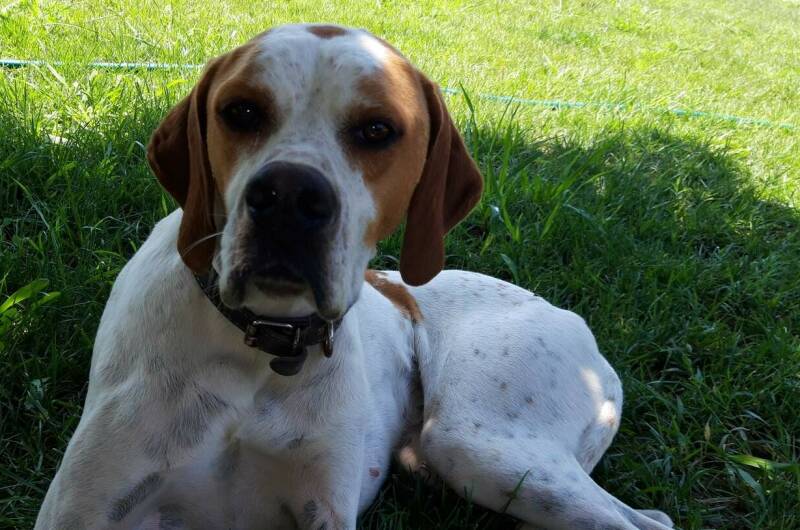 Изображение Изображение гостиницы &quot;Гостевой дом «Лыхны»&quot; #5 #3