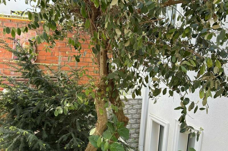 Изображение Изображение гостиницы &quot;Комплекс коттеджей в центре города&quot; #5 #3