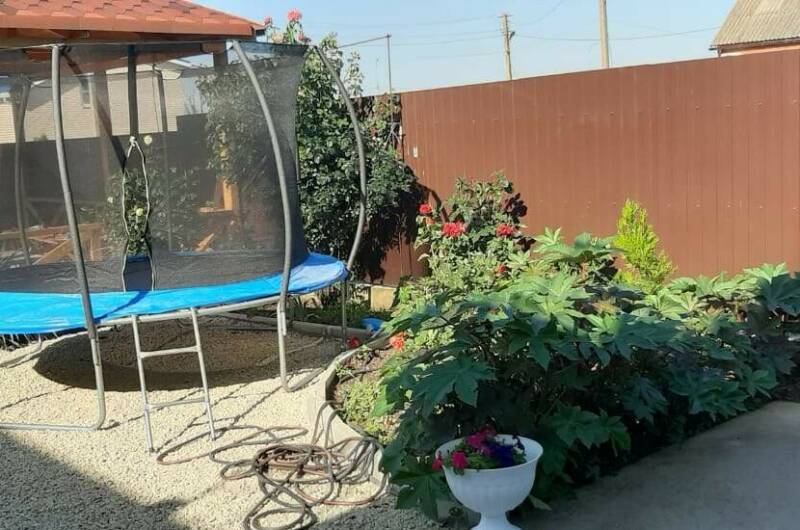 Изображение Изображение гостиницы &quot;Гостевой дом «Лиана»&quot; #10 #8