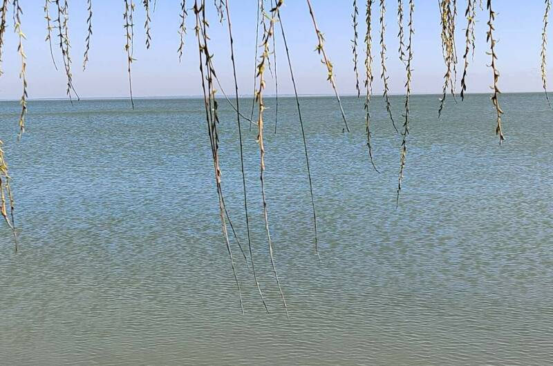 Изображение Изображение гостиницы &quot;Мини-гостиница в Ейске&quot; #3 #1