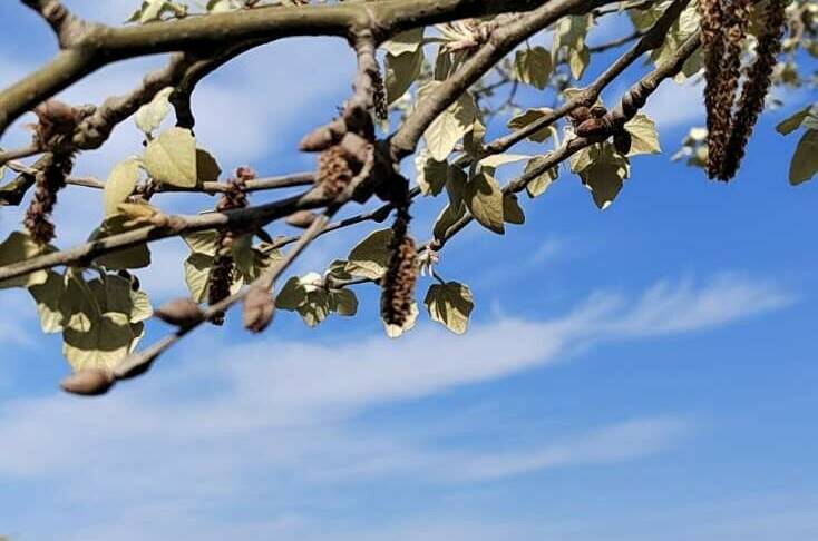 Изображение Изображение гостиницы &quot;Мини-гостиница в Ейске&quot; #5 #3