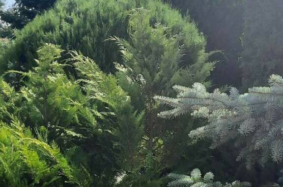 Изображение Изображение гостиницы &quot;Гостевой дом «Италмаз»&quot; #4 #2