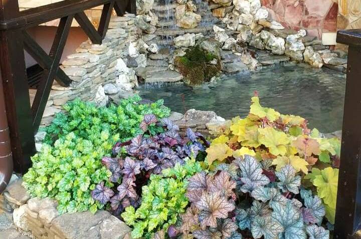 Изображение гостевого дома "Частный дом «Лето»" #1