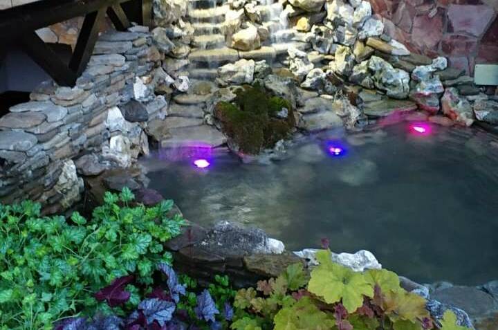 Изображение Изображение гостевого дома "Частный дом «Лето»" #6 #4