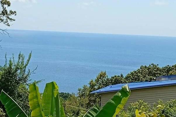 Изображение гостевого дома "Частный дом «Павлодар»" #1