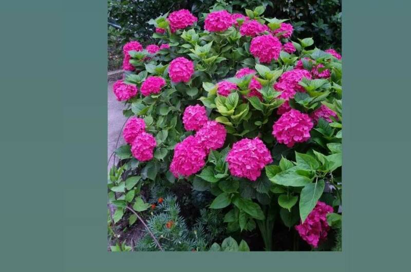 Изображение Изображение частного сектора "Гостевой дом «У Гаянэ»" #10 #8