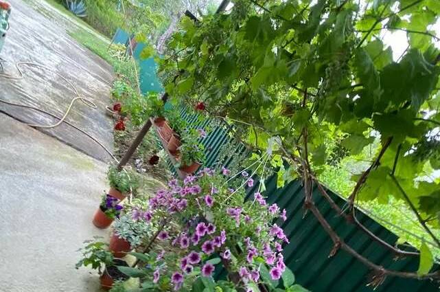 Изображение Изображение частного сектора "Частный дом «У Аси»" #3 #1