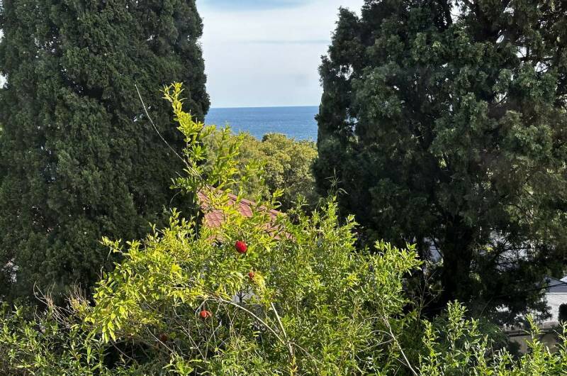 Изображение Изображение частного сектора "Гостевой дом «У Елены»" #6 #4